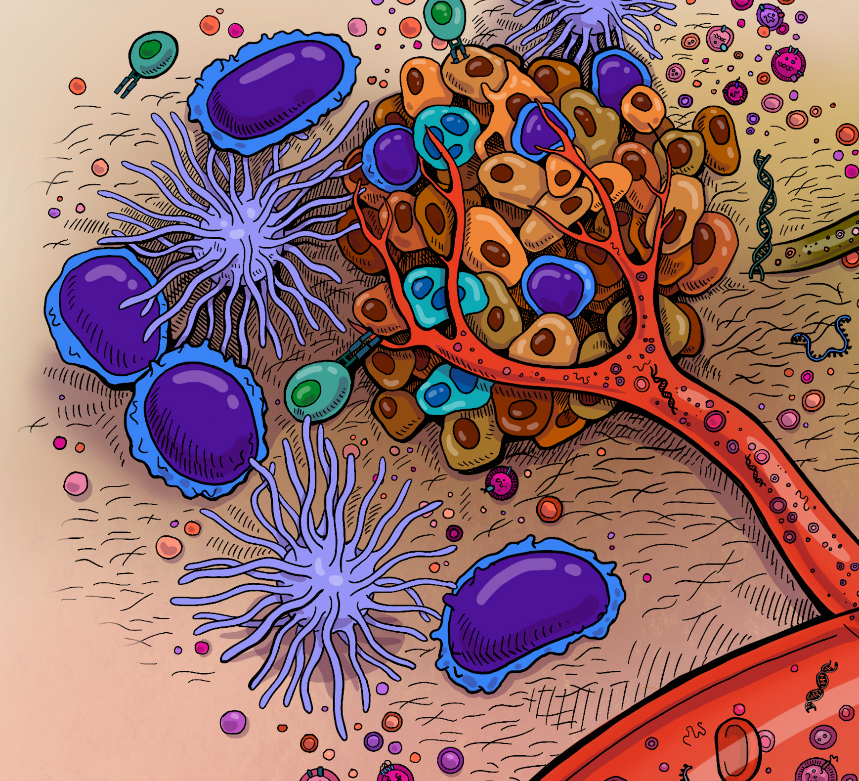 Systems immunology